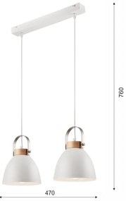 Lampadario a cavo DANIELLE 2xE27/60W/230V