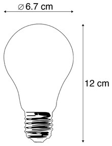 Set di 5 lampadine LED E27 A67 opale 8W 900lm 2700K