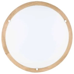 Spot-Light 4753474 - Plafoniera FRIDA 2xE27/40W/230V