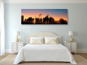Quadro su tela – Foresta avvolta nell'oscurità