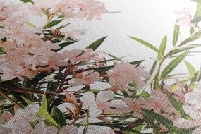 Stampa su tela – Torre Eiffel e fiori rosa