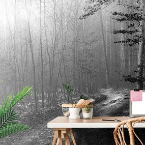 Carta da parati – Sentiero nel bosco in bianco e nero