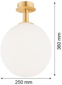 Argon 8505 - Plafoniera PALOMA 1xE27/15W/230V oro/bianco