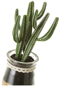 Piante artificiali in set da 4 (altezza 18 cm) Cactus - Casa Selección