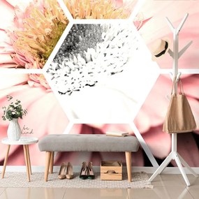Carta da parati – Gerbera nell'esagono