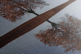 Stampa su tela – Cielo stellato sopra un albero solitario