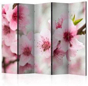 Paravento  Spring, blooming tree  pink flowers II [Room Dividers]  Colore ---, Dimensioni e Misure 225x172