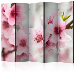 Paravento Spring, blooming tree pink flowers II [Room Dividers]