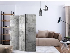 Paravento Concrete: Grey City [Room Dividers]