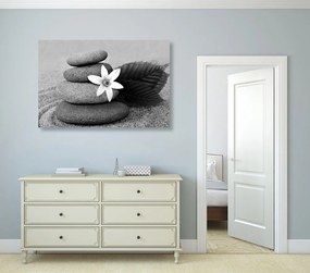 Stampa su tela – Fiore e pietre nella sabbia in bianco e nero