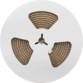 Striscia LED 220V 16W/m IP66 Dimmerabile Professional - Taglio 10cm – 5m