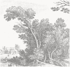 Carta da parati in tessuto non tessuto Engraved Landscapes V