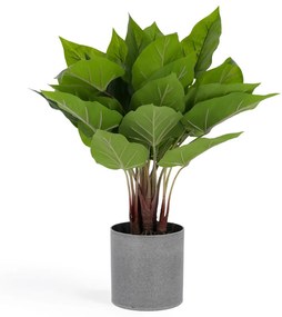 Kave Home - Pianta artificiale Anthurium da 50 cm