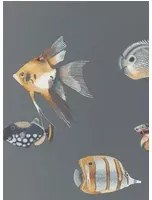 Harlequin Carta da parati Kamanu - Amber/ Slate