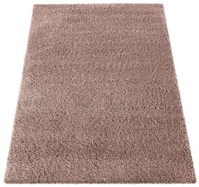 Tappeto moderno SHAGGY in rosa antico Larghezza: 120 cm | Lunghezza: 170 cm