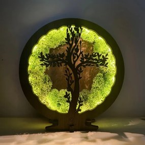 Li-Go 23622/DUB2 - LED Lampada decorativa da tavolo dimmerabile a LED/12W/230V 20x22 cm rovere