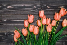 Carta da parati – Tulipani arancioni su sfondo di legno