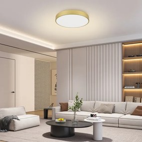 Brilagi - Lampada LED dimmerabile POOL LED/60W/230V 3000-6000K Ø 60 cm dorata + telecomando