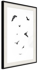 Poster  Birds  Cornice Quadri Cornice nera con pass-partout, Larghezza x Altezza Home decor 20x30