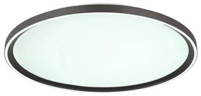 Globo 48802-48 - Plafoniera LED dimmerabile DUBLIN LED/48W/230V + +TC