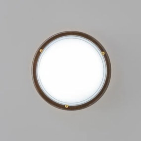 Rabalux 5417 - Plafoniera UFO E27/60W/230V