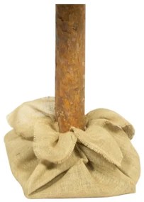 Albero di Natale su tronco 180 cm pino