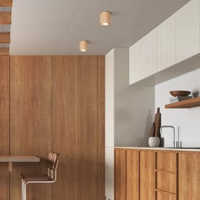 Faretto EVE 1xGU10/10W/230V faggio