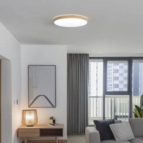 Brilagi - Plafoniera LED dimmerabile PINE LED/60W/230V + telecomando