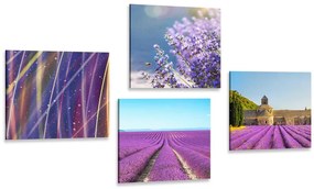 Set di quadri – Campo di lavanda con astrazione