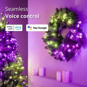 Twinkly GD20P4425P00 - LED RGB Dimmerabile Ghirlanda di Natale 50xLED diametro 60 cm Wi-Fi