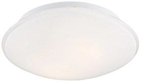 Argon 3224 - Plafoniera GIN 3xE27/15W/230V bianco