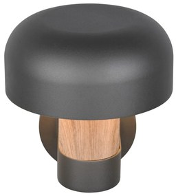 Illuminazione esterna da parete (altezza totale 24,5 cm) Fraser – Trio