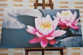 Quadro su tela – Fiore di loto nel lago