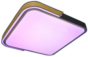 Rabalux 71146 - Plafoniera LED dimmerabile ARILD LED/48W/230V Wi-Fi Tuya