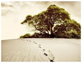 Fotomurale Albero nel deserto