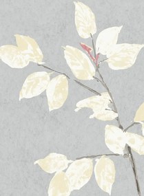 Lewis & Wood Carta da parati Beech - Dove