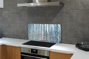 Rivestimento parete cucina Tramonto della foresta di betulle 100x50 cm