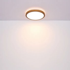 Globo 41764-12 - Plafoniera LED BRUNO LED/12W/230V 307 mm 3000/4500/6000K