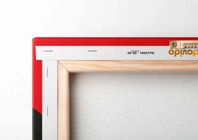 Quadro su tela – Straniera in città