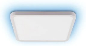 Immax NEO 07168-W40-LED RGB+CCT Lampada dimmerabile 50W/230V Wi-Fi Tuya white+TC