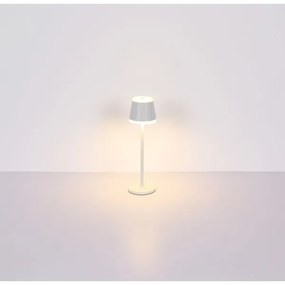 Globo 58433W - Lampada da tavolo LED dimmerabile con funzione Touch RIDLEY LED/4,6W/230V IP54