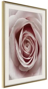 Poster  Rosebud  Cornice Quadri Cornice d'oro con passe-partout, Larghezza x Altezza Home decor 20x30