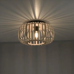 Leuchten Direkt 11412-79 - Lampadario a plafone RACOON 1xE27/40W/230V diametro 40 cm