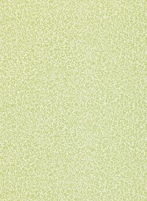 Morris & Co Carta da parati Standen - Fennel