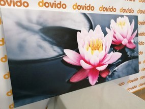 Quadro su tela – Fiore di loto nel lago