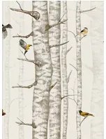 Coordonne Carta da parati Birch Trees - Beige