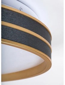 Rabalux 71141 - Plafoniera LED dimmerabile GANDOR LED/24W/230V 3000-6500K