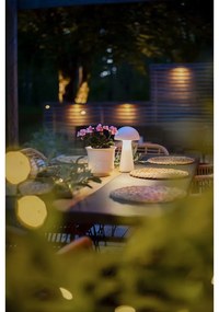 Lampada da tavolo dimmerabile a LED bianchi (altezza 28 cm) Mushroom - Star Trading