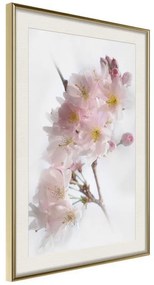 Poster  Scent of Spring  Cornice Quadri Cornice d'oro con passe-partout, Larghezza x Altezza Home decor 20x30