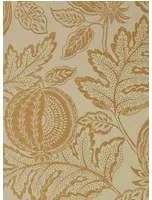 Sanderson Carta da parati Cantaloupe - Clay